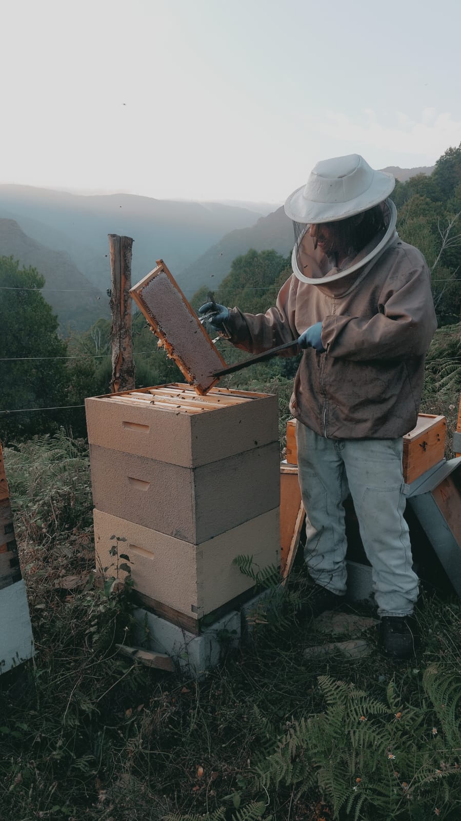 Apicultor trabajando