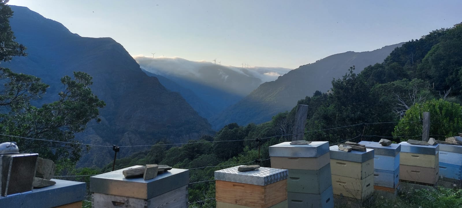 Colmenas en el Santuario de Pastur